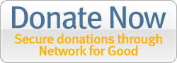 DonateNow button example